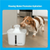 Premier Pet 60 oz. Pet Fountain- Automatic water fountain for cats & small dogs, fresh, filtered water, promotes hydration, adjustable water flow