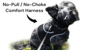 Get Highly Precise Readings w/ Pet Tracker Mini Dog Tracking Collar Device Size:L