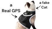 Mini Waterproof GPS Tracking Collars for Hunting Dogs w/ Tracking App Size:L