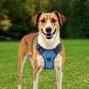 Adjustable Pet Vest Dog Harness for Large Dogs for Use Outdoor
